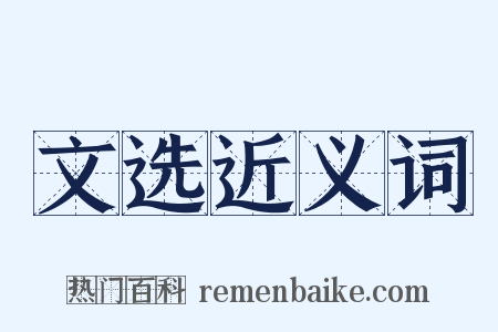 文选近义词是什么意思的图片